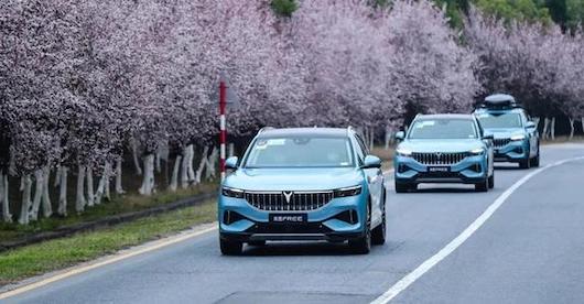 岚图，激活东风创新发展的的排头兵